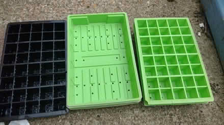 Photo of free Plastic seed trays and modules (Havant PO9) #2