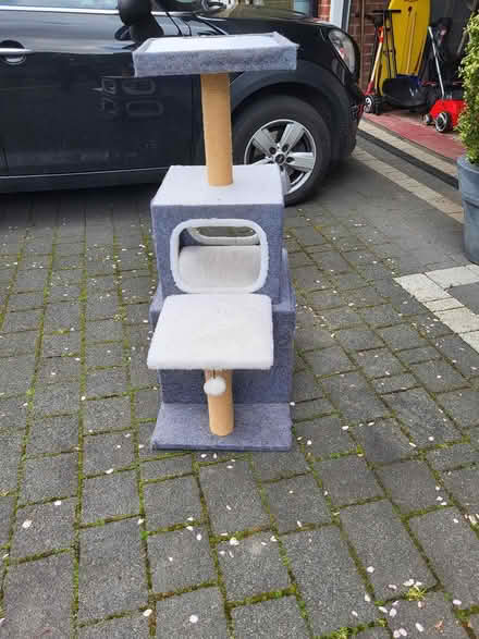 Photo of free Cat tree (Norton Sheffield S8) #2