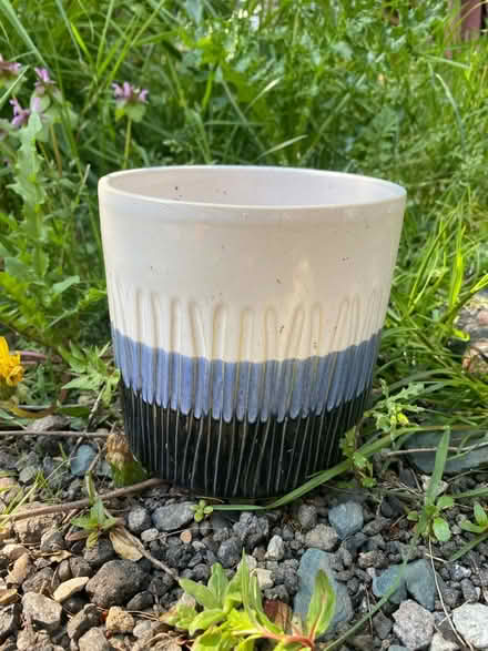 Photo of free Indoor plant pot (AL4, St albans) #1