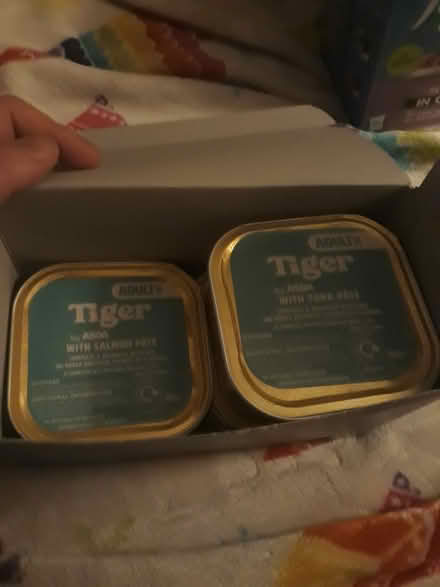 Photo of free wet cat food (G20 Glasgow Maryhill) #2