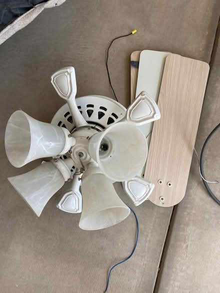 Photo of free Ceiling Fan (Rio Rancho) #1