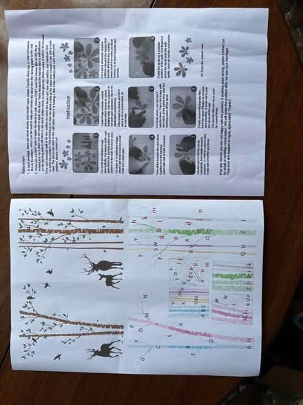 Photo of free Wall decals (stickers) (Oxford-Freegle CGA OX4) #2