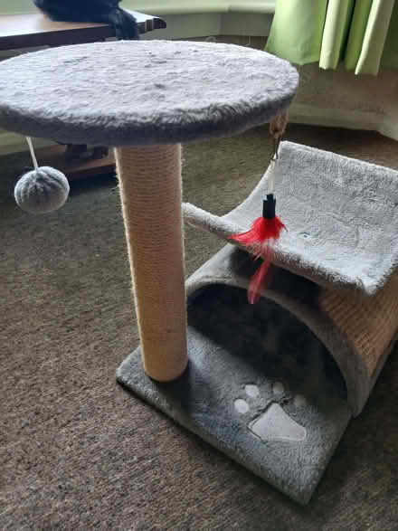 Photo of free Cat scratching post. (West Hill TN34) #1