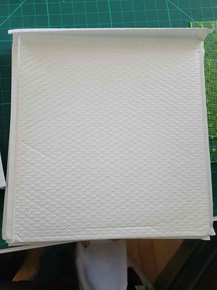 Photo of free Padded sleeves (Edinburgh and Paisley) #1
