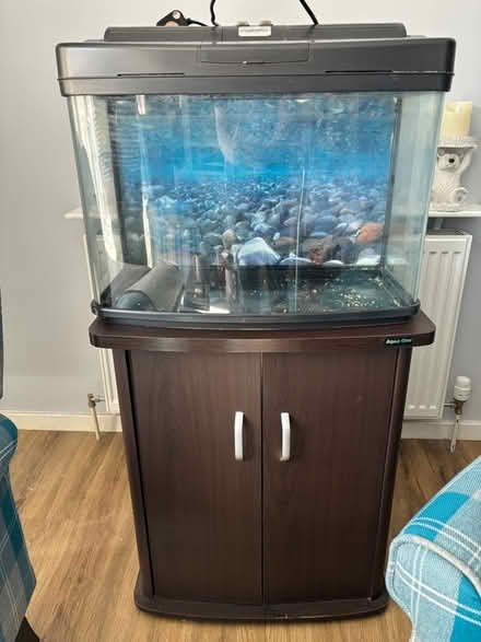 Photo of free Fish tank and stand (SG17) #1