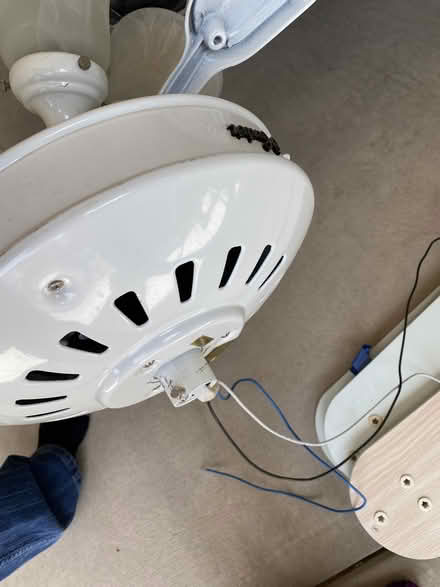 Photo of free Ceiling Fan (Rio Rancho) #2
