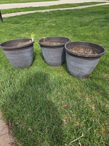 Photo of free Plastic flower pots (NW Livonia) #1