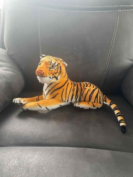 Photo of free Tiger toy (Upshire EN9) #1
