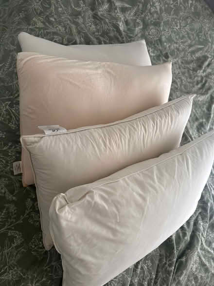 Photo of free 4 pillows (West Ealing) #1