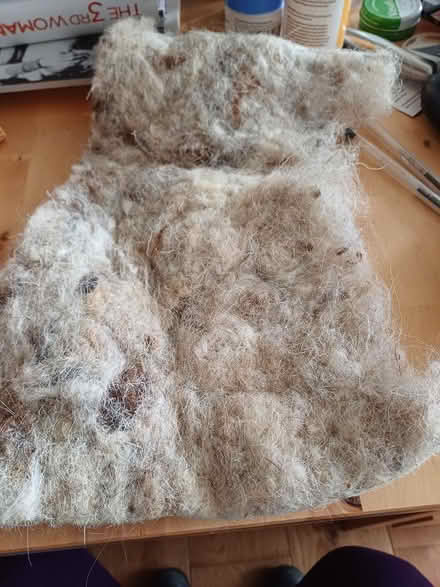 Photo of free Sheep's wool insulation (Stroud, Uplands area) #1