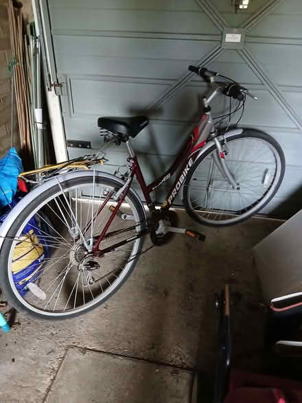 Photo of free Ladies Push Bike (North Ascot SL5) #1