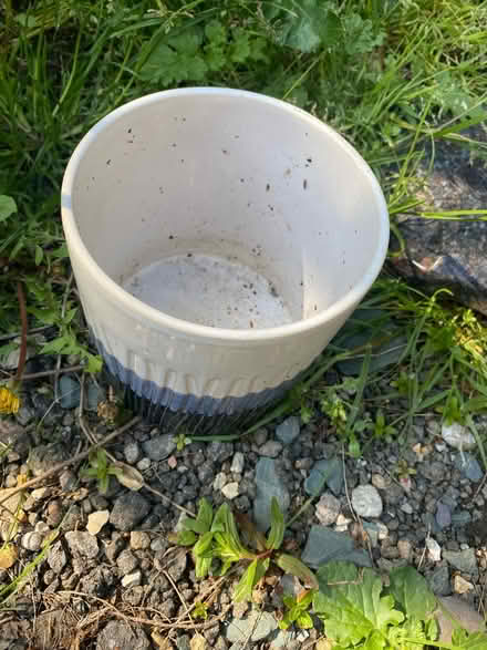 Photo of free Indoor plant pot (AL4, St albans) #2