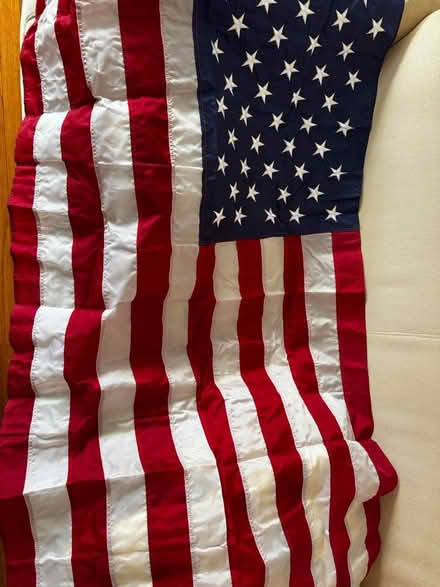 Photo of free 2 usa flags (Briarwood Jamaica) #2