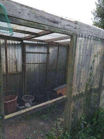 Photo of free Chicken run (Ipswich IP3) #1