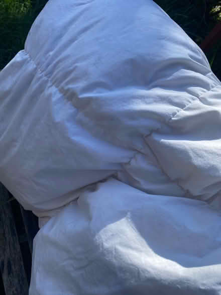 Photo of free Single fogarty down duvet 12.5 tog (AL4, St albans) #3