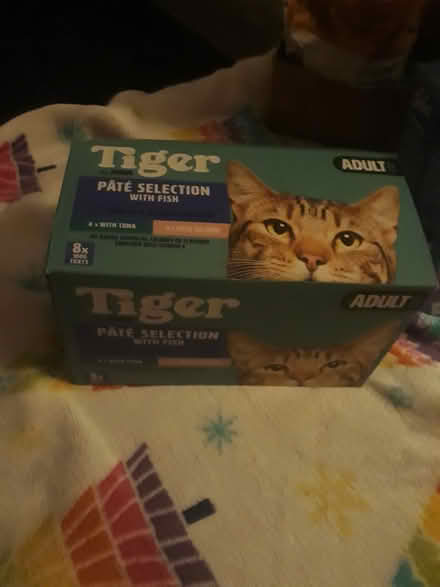 Photo of free wet cat food (G20 Glasgow Maryhill) #3