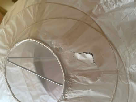 Photo of free Lamp shade (Weston) #2