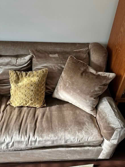 Photo of free Gold velour couch (Green Hills) #2