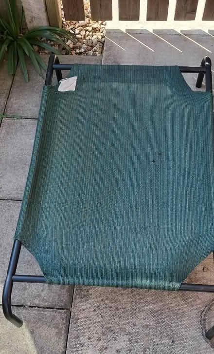 Photo of free Raised dog bed (Upton CH2) #1