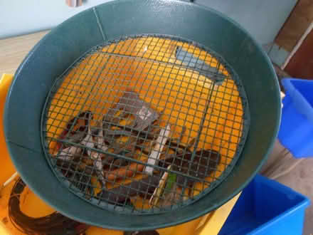 Photo of free Box of Hand Tools for Garden (Moreton CH46) #2