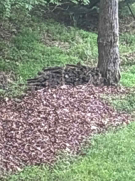 Photo of free Campfire wood (Waxhaw NC) #2