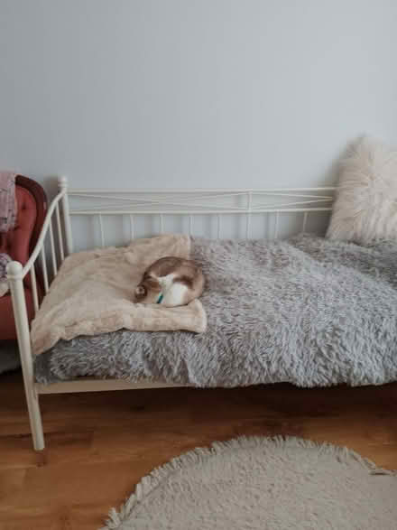 Photo of free Metal Frame White Day Bed (BS9) #2
