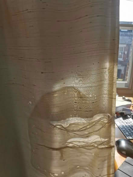Photo of free Curtains x2 and runner (East Oxford, OX4) #3