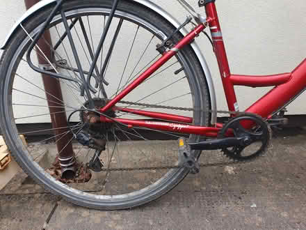 Photo of free Woman's bicycle (Newton Farm.) #2