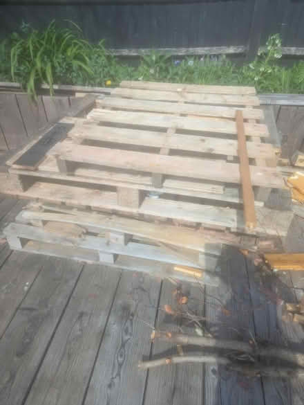 Photo of free Wood for chopping or projects (GU3) #3