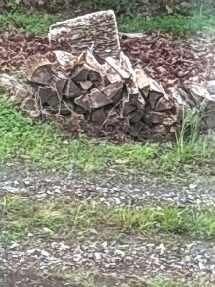 Photo of free Campfire wood (Waxhaw NC) #1