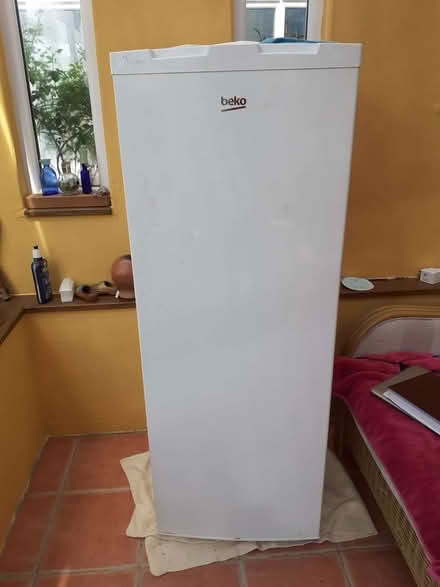 Photo of free Tall fridge (St Buryan TR19) #4