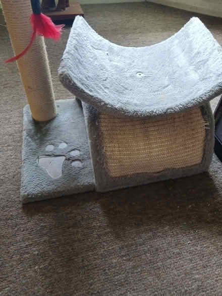 Photo of free Cat scratching post. (West Hill TN34) #2