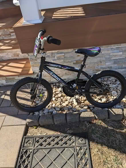 Photo of free Youth Bicycle (Belford, N.J.) #1