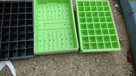 Photo of free Plastic seed trays and modules (Havant PO9) #1