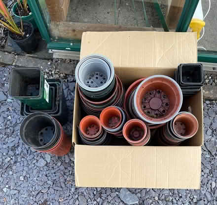 Photo of free Various Size Garden Pots (Kidderminster DY10) #1