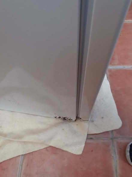 Photo of free Tall fridge (St Buryan TR19) #2