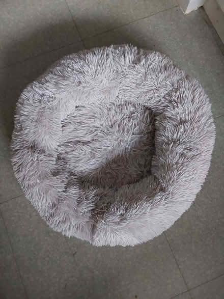 Photo of free Large pet bed (Wybourn S2) #1