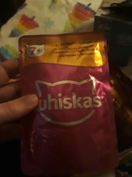 Photo of free wet cat food (G20 Glasgow Maryhill) #1