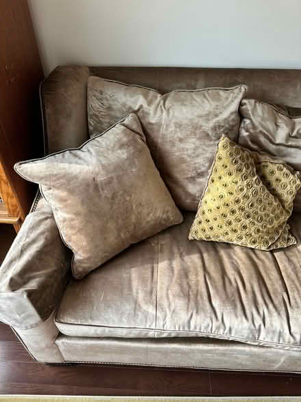 Photo of free Gold velour couch (Green Hills) #3