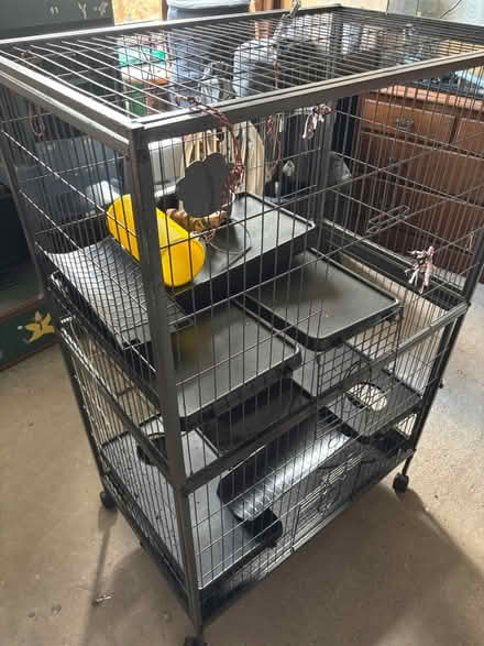 Photo of free Large cage (Clayton BD14) #1