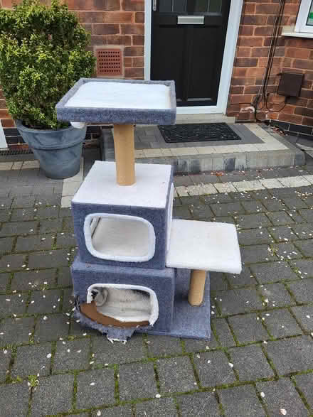Photo of free Cat tree (Norton Sheffield S8) #1