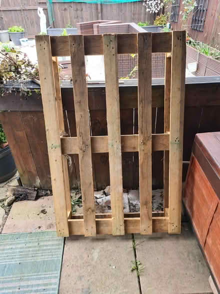 Photo of free Pallet (North Shields) #1