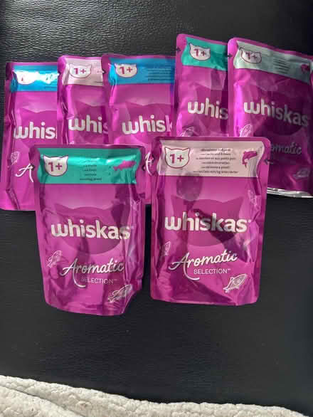Photo of free 1+ cat food (Dursley) #1