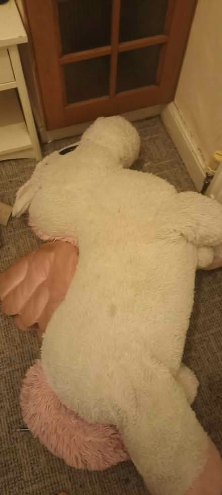 Photo of free White big unicorn (Leeds LS11) #1