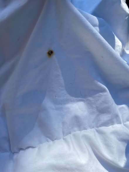 Photo of free Single fogarty down duvet 12.5 tog (AL4, St albans) #2
