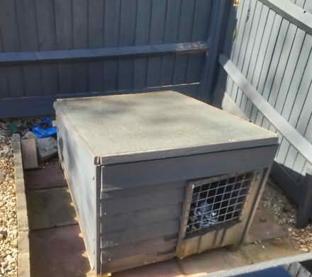 Photo of free dog kennel house (Brighton Hill Basingstoke) #1