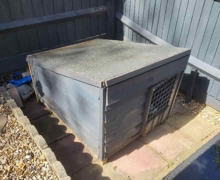 Photo of free dog kennel house (Brighton Hill Basingstoke) #3