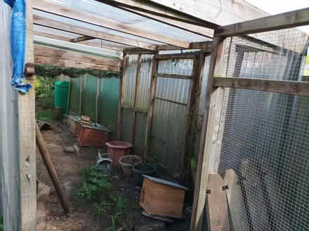 Photo of free Chicken run (Ipswich IP3) #3