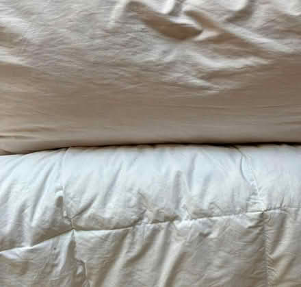 Photo of free duck feather and down blanket (Newbury park station) #1