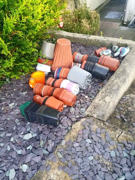 Photo of free Plastic plant pots (Penisa'r Waun LL55) #1